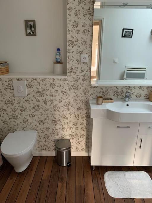Appartement Duplexcoeur De Ville เมซ์ ภายนอก รูปภาพ